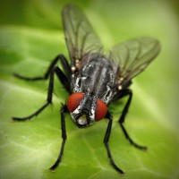 /album/ticketscentr/photolia-a01-jpg/