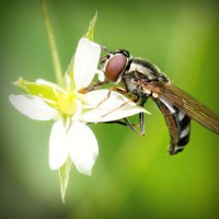 /album/ticketscentr/photolia-a02-jpg/