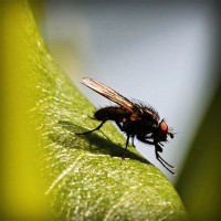 /album/ticketscentr/photolia-a04-jpg/