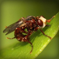 /album/ticketscentr/photolia-a06-jpg/