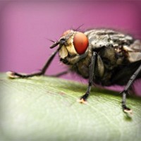 /album/ticketscentr/photolia-a08-jpg/